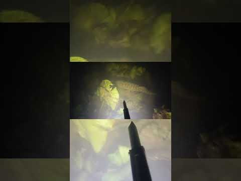 Здоровый рак = чистая вода