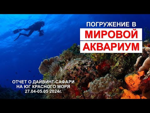 [ПОНЕДЕЛЬНИК, 13.05.24 , 20-00 мск] Египет: Приключения дайверов в мировом аквариуме.