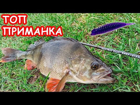 ЭТА ПРИМАНКА ЛОВИТ МНОГО. ТОП ПРИМАНКА. РЫБАЛКА НА СПИННИНГ