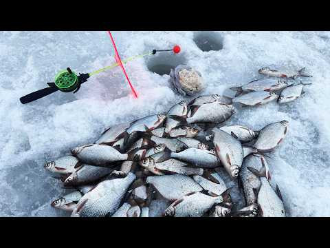 Удочки улетают в лунку! Густера стоит стеной на Дону!