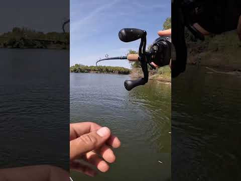 ЭТА РЫБИНА ЗАГНУЛА СПИННИНГ до 140 ГРАММ!!! ЩУКА на Приманку Мышь! #fishing #рыбалка #щука #pike