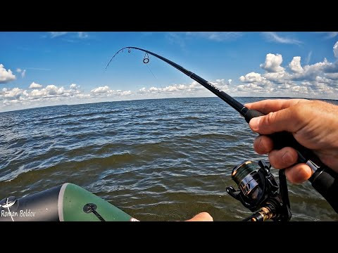 ВОТ ЭТО ПРИМАНКА! Клев судака в жару на Малину. Ловля на джиг. Рыбалка на спиннинг 2024.