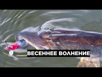 ВЕСЕННЕЕ ВОЛНЕНИЕ 2021: ТРИ НЕЗАБЫВАЕМЫХ ДНЯ СПИННИНГОВОЙ РЫБАЛКИ НА ЩУКУ
