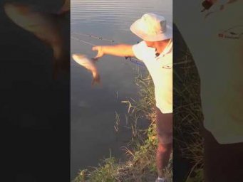 Поступок настоящего рыбака  #рыбалка #assistancetv #фидер #fishing #carpfishing  #карась #флэтфидер