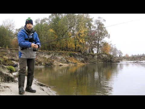 На Десні по Хижаку Стабільно. Ловимо Жереха На Десні по Хижаку Стабільно. Ловимо Жереха