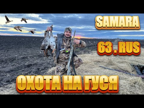 ОХОТА НА ГУСЯ. SAMARA 2024