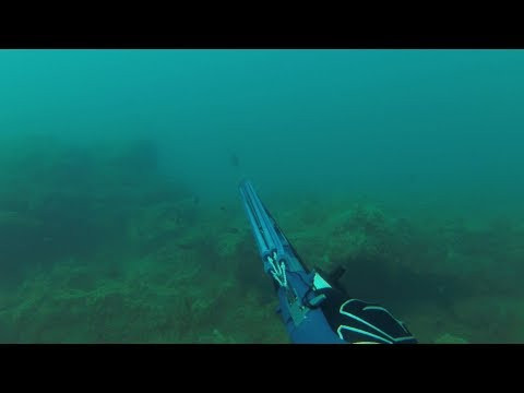Горбыли 2019. Поводная охота в Черном море. Горбыли 2019. Поводная охота в Черном море.