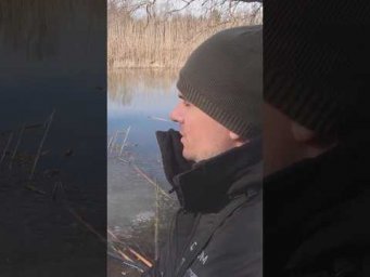 ДУХ ВЕСЕННЕГО КАЙФА #рыбалка  #весенняярыбалка  #assistancetv #рыбалкаудалась #фидер #fishing