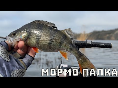 КАЖУ ВАМ РОБІТЬ ТАК буде ЖОР! спінінг наноджиг рибалка на окуня КАЖУ ВАМ РОБІТЬ ТАК буде ЖОР! спінінг наноджиг рибалка на окуня