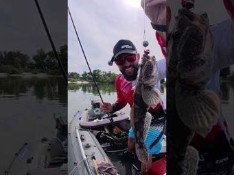 Клюнув перший КНУТ #рибалка #fishing #carpfishing