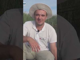 Не берите лишнего, оставте детям  #assistancetv #fishing #рыбалканафидер