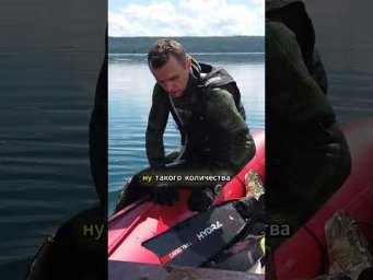 Рай для ПОДВОХА найден 