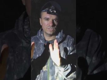 В какое время сом клюет?  #рыбалка #assistancetv #фидер #fishing #carpfishing #сом #рыбалкаудалась