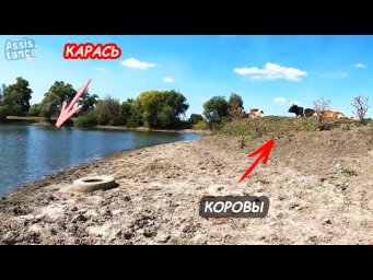 ЛОВИМ КАРАСЯ в ДЕРЕВНЕ на заброшенном пруду. ДУШЕВНАЯ РЫБАЛКА в СЕНТЯБРЕ.