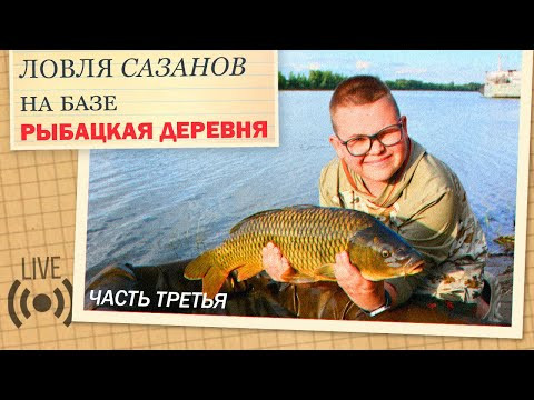 Рыбацкая деревня 2024 , сазанья песня ! Часть 3. Поклёвка в конце. Рыбацкая деревня 2024 , сазанья песня ! Часть 3. Поклёвка в конце.