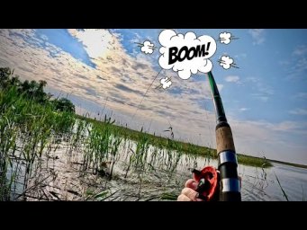 Дикі КОНІ САЗАНИ ЛОМАЮТЬ ВУДКИ!!!