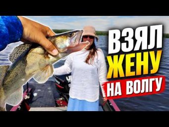 ВЗЯЛ ЖЕНУ НА ВОЛГУ &mdash; И НЕ ПОЖАЛЕЛ! ОКУНЬ, СУДАК, ЩУКА ЗА ОДИН ДЕНЬ
