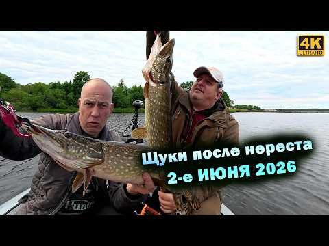 Сезон 2026 открыт! Где искать щуку сейчас? Сезон 2026 открыт! Где искать щуку сейчас?