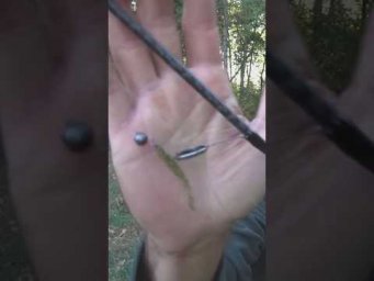 КАКОЙ поставить ГРУЗ   #рыбалка #ультралайт #рыбалкаудалась #assistancetv #проводка  #fishingvideo