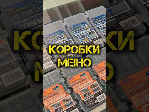 Коробки MEIHO#fishingtoday #рыбалка #спиннинг #рыбалканаспиннинг #рыбалкавбеларуси