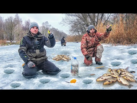 НАХ*Я ЭТОТ КАРАСЬ СДАЛСЯ... ЛУЧШЕ ДОМА ВТЫКАТЬ!!! ЛОВЛЯ КАРАСЯ с ПОПЛАВКОМ ВЕСНОЙ НАХ*Я ЭТОТ КАРАСЬ СДАЛСЯ... ЛУЧШЕ ДОМА ВТЫКАТЬ!!! ЛОВЛЯ КАРАСЯ с ПОПЛАВКОМ ВЕСНОЙ