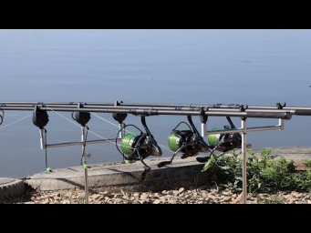Разведал водоём с карпами, рыбалка в завоз
