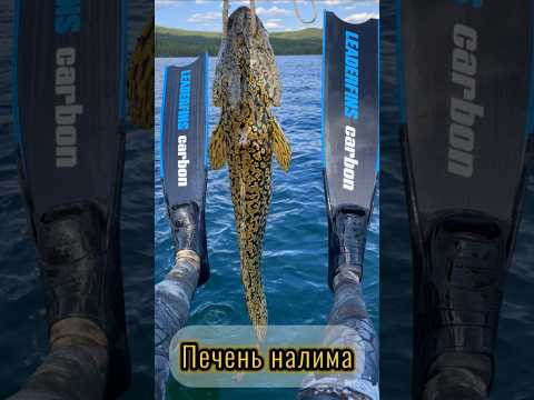 Этот деликатес знают единицы 