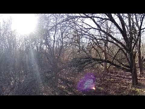 Сложная ситуация - но заяц добыт