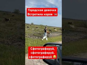 Ну кто ещё их сфоткает, если не моя жена? 