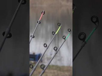 ФИДЕРИТЬСЯ чтобы не УМОРИТЬСЯ  #рыбалка #assistancetv #фидер  #fishing  #напруду #нареке #наозере