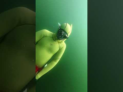 Лимонный инструктор , Фридайвинг