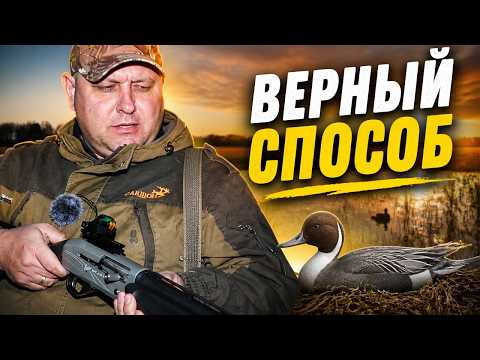 Такая охота должна быть в жизни у каждого охотника! Классика охоты с подсадной уткой.