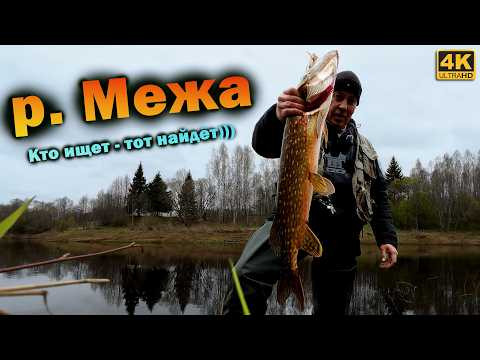 Поездка на РЕЧКУ МЕЖА | Что клюёт на большие приманки? Поездка на РЕЧКУ МЕЖА | Что клюёт на большие приманки?
