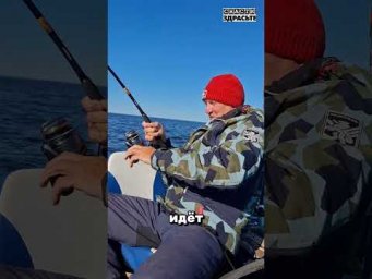 Трофейный СОМ на предсерийную #porolka до 200г