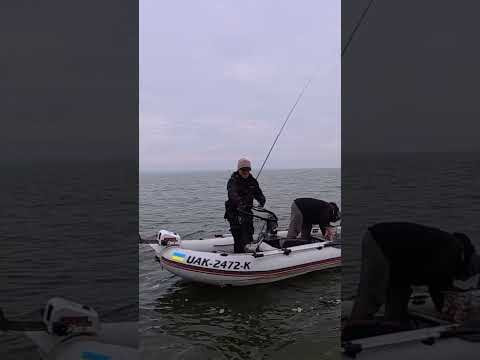 Схема на всі 100 #рибалка #fishing #shorts Схема на всі 100 #рибалка #fishing #shorts