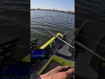 ПОКЛЕВКА ПРОСТО КОСМОС!!! Судак на ВИБ! #fishing #рыбалка #паноптикс #спиннинг