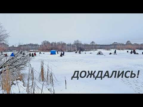 Второй первый лёд. РЫБАЧАТ ВСЕ. Зимняя рыбалка. На микроджиг из лунки. Кивок помог! Второй первый лёд. РЫБАЧАТ ВСЕ. Зимняя рыбалка. На микроджиг из лунки. Кивок помог!