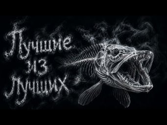 ТОП приманок для спиннинга