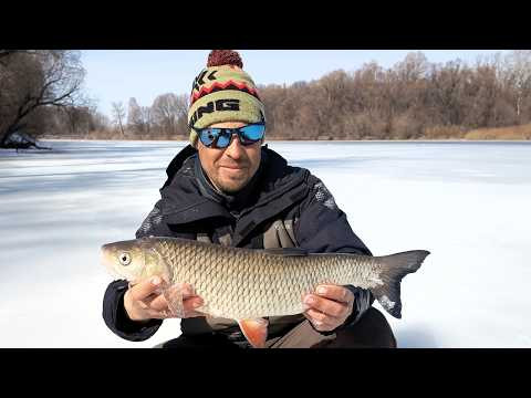 На Десні під кінець сезону | Донка і крупна риба