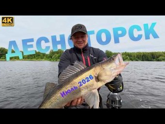 Как клюёт СУДАК и ОКУНЬ в Десногорске. Рыбалка ИЮЛЬ 2026