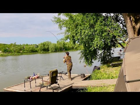 Дві ночі на озері із підписником! Рибалка на самі топові бойли у світі! Наловили мішок коропів! Дві ночі на озері із підписником! Рибалка на самі топові бойли у світі! Наловили мішок коропів!