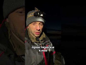 День 24✅ Ночные лещи на фидер #dralka