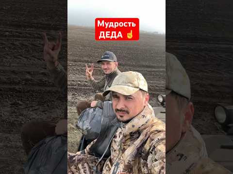 Мудрость 
