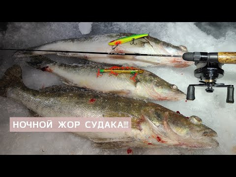 НОЧНОЙ ЖОР СУДАКА! ЭТОТ ВИБ ТВОРИТ ЧУДЕСА!!! ЗИМНЯЯ РЫБАЛКА НА СУДАКА НОЧНОЙ ЖОР СУДАКА! ЭТОТ ВИБ ТВОРИТ ЧУДЕСА!!! ЗИМНЯЯ РЫБАЛКА НА СУДАКА