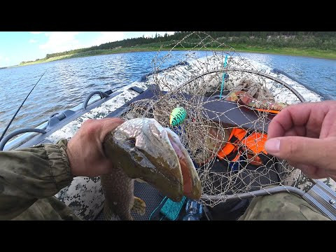 ПОЙМАЛ ЗУБАСТОГО ТРОФЕЯ. ЛОВЛЯ ЩУКИ С ЛОДКИ НА БОЛЬШОЙ РЕКЕ. Лодка X-River Rocky 335 под Хайди - 9.8