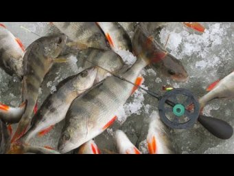 Жор Окуня по Останній Кризі. Знайшов Рибу на Секретній Точці