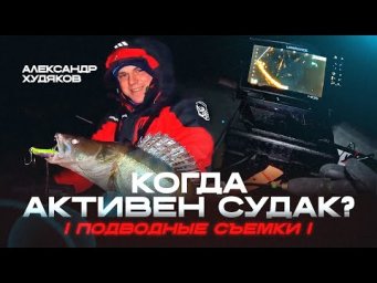 Лучшее время для ловли судака. Подробный разбор: места, проводка, приманки.