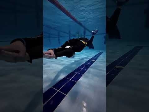 Четко? #freediving