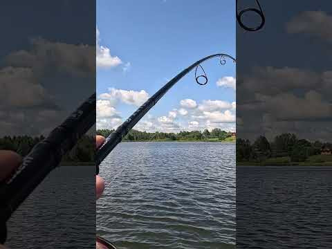 CF Arion до 65 грамм и щука на 5 кг #щука #fishing