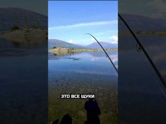 Уникальное Щучье место! #рыбалка #путорана #fishing